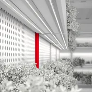 Для специального освещения