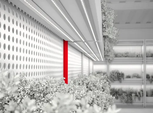 Для специального освещения