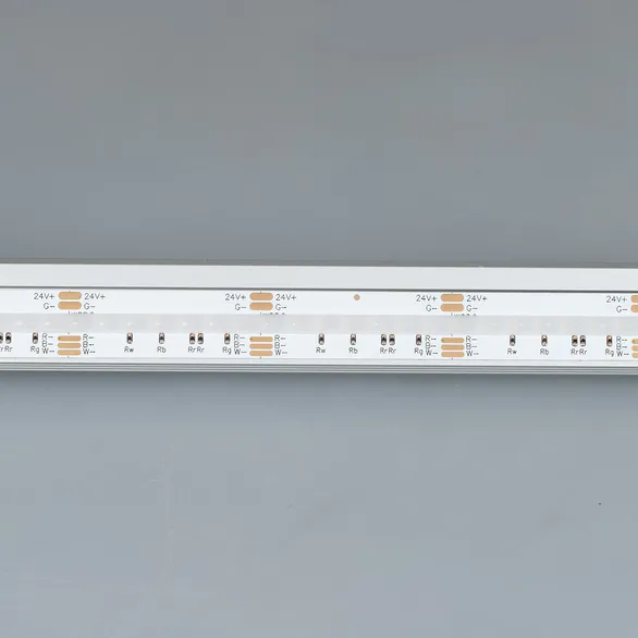 Светодиодная лента CSP-X840-12mm 24V RGBW-Day (17.2 W/m, IP20, 5m)  (Arlight, 5 лет)