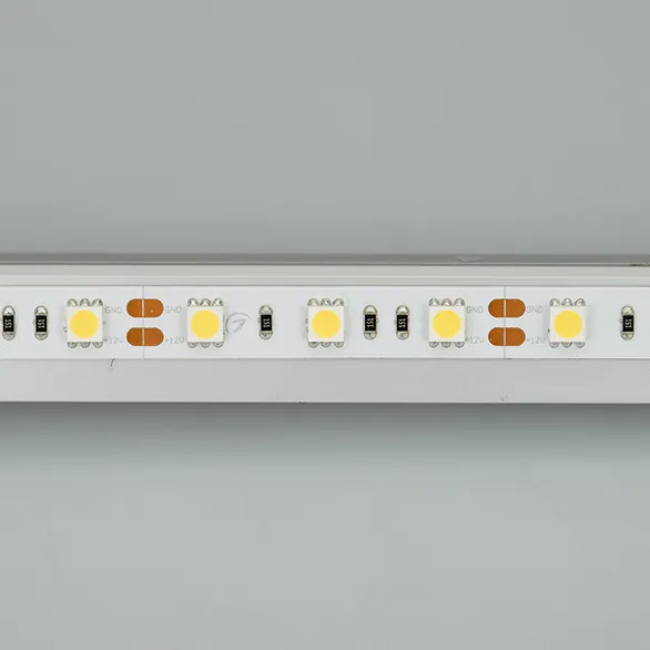 Светодиодная лента RT 2-5000 12V White6000 2x (5060, 300 LED, LUX) (Arlight, 14.4 Вт/м, IP20)